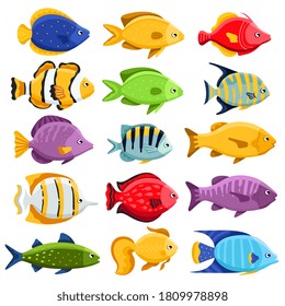 Aquarium fish set. Isolated cartoon ocean or sea water exotic animal icon collection. Underwater nature aquarium fish vector illustration