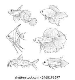 Aquarium fish. Set. Vector black and white image.Coloring.