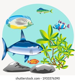 aquarium with fish and shark