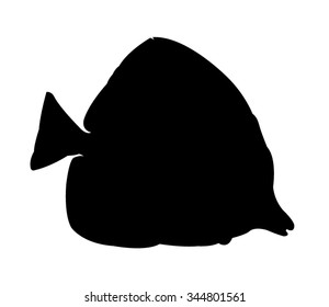 Aquarium Fish Silhouette on White Background