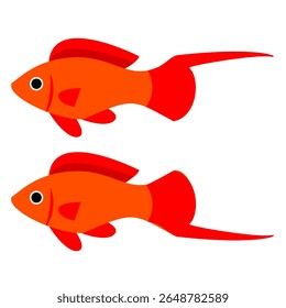 Aquarienfische. Schwertschwanz Molly Fisch Vektor Clip Art für grafische Ressourcen Cartoon-Stil. Livebarer Fisch Illustration für digital oder druckbar