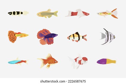 Aquarium Fish vector in flat design