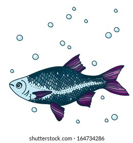 Aquarium fish Ã¢Â?Â? vector icon. Isolated on white background.