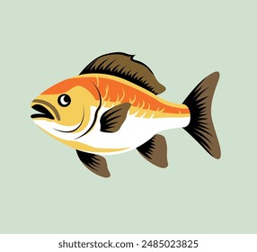 aquarium fish vector illustration on solid background