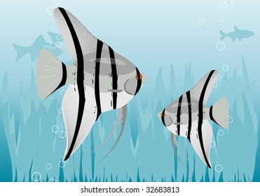 Aquarium with fishes.