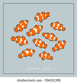 Aquarium fishes.