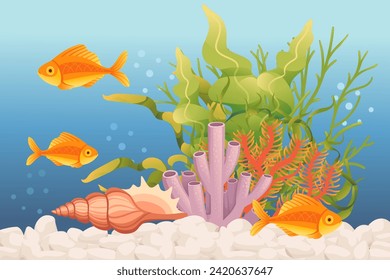 Aquarium with fishes grass stones and decorative items vector illustration isolated on white background