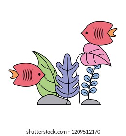 aquarium fishes plants on white background