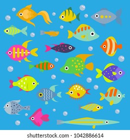 Aquário liso peixe vetor oceano raças subaquáticas tigela tropical animais aquáticos água natureza animais de estimação ilustração. Belo nadador de água doce à beira-mar náutico ícones decorativos