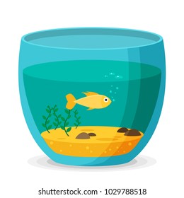 Aquarium flat vector