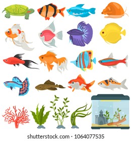 Aquarium flora and fauna color flat icons set