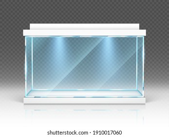 Aquarium glass box, terrarium with backlight isolated on transparent background. Empty illuminated tank for water and fishes, exhibition showcase, interior decoration, Realistic 3d vector illustration