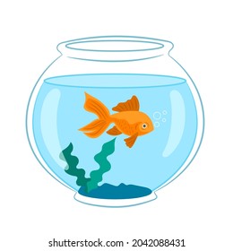 Aquarium with gold fish isolated on a white background