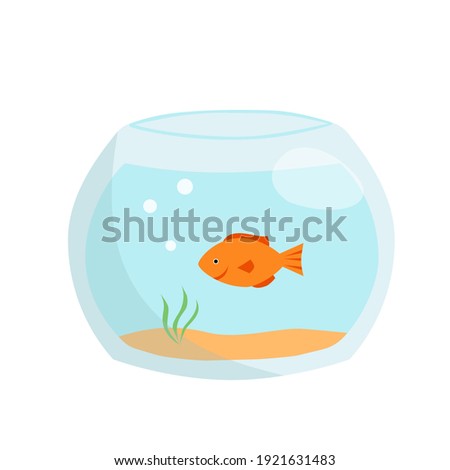 Aquarium with gold fish isolated on a white background. Vector illustration in cartoon style. Perfect for children's design or for decorating a pet store