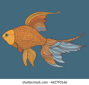aquarium goldfish
