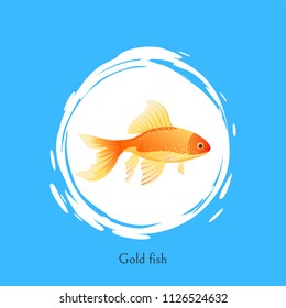 Aquarium Goldfish poster with cutline. Color cartoon marine creature flat vector illustration in centre of white bubble spot on blue background.