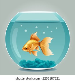 Aquarium with goldfish. Vector color illustration.