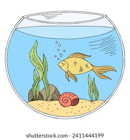 Aquarium graphic color isolated sketch illustration vector