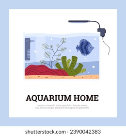 Aquarium home banner template design. Cube tank with single fish, plants, coral and lamp. Isolated flat vector illustration with text below.