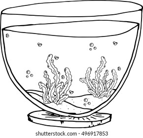 Aquarium icon. Aquarium without fish hand drawn. Vector illustration of an aquarium with algae.