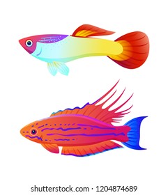 Aquarium inhabitant guppy and swordtail fish set. Colorful sea animal vector illustration for information isolated on white for nautical magazine.