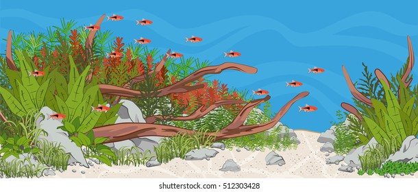 Aquarium. Natural aquarium with fish and plants. Aquascape. Vector illustration