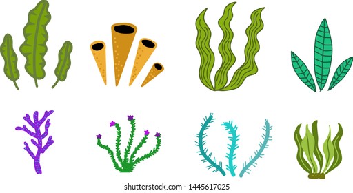 Aquarium, ocean and marine algae water plants, corals isolated on white