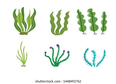 Aquarium, ocean and marine algae water plants, corals isolated on white