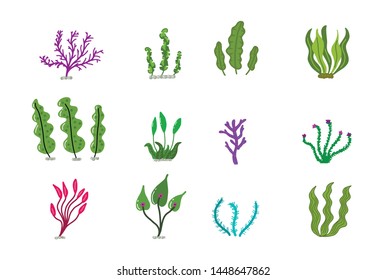 Aquarium, ocean and marine algae water plants, corals isolated on white