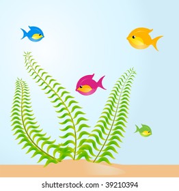  Aquarium on a white background