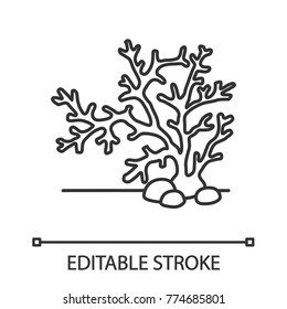Aquarium plant linear icon. Coral, seaweed. Thin line illustration. Fishbowl decoration. Contour symbol. Vector isolated outline drawing. Editable stroke