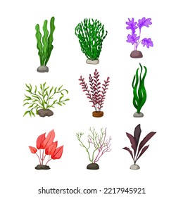 aquarium plant set cartoon. water green, nature aquatic, fish underwater, tropical tank, freshwater aquarium plant vector illustration