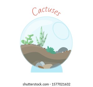 Aquarium with plants. The aquarium, durable and unpretentious in leaving, is filled with succulents, cacti, soil and stones.