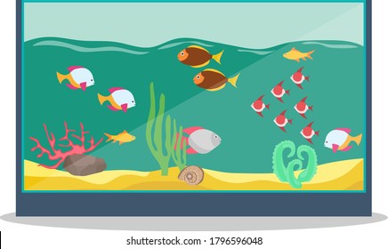 Aquarium, realistic aquarium with fish isolated on white background. Vector, cartoon illustration. Vector.