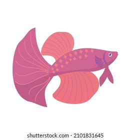 Aquarium red fighting fish isolated on white background. Cute Cartoon vector illustration