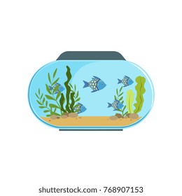 Aquarium in round shape with blue exotic fishes. Freshwater fish tank with seaweed and stones on sand. Underwater world. Colorful flat vector design