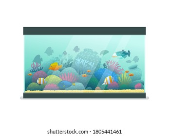 Aquarium with sea fish on an isolated background. Vector illustration in cartoon style