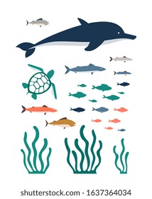Aquarium and sea underwater animals, fish and plants cartoon characters set, flat vector illustration isolated on white background. Marine life collection.