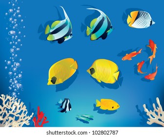 Aquarium set. The vector illustratin of set of coral fishes for decoration in aquarium style.