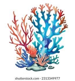 aquarium summer sea corals border art design vector illustrator