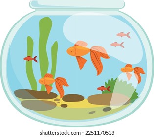 Aquarium with swimming fishes. Glass tank cartoon icon