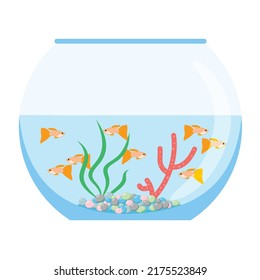 Aquarium with swimming gold exotic fish. Underwater aquarium habitat with sea plants. Flat vector drawn illustration, isolated objects.