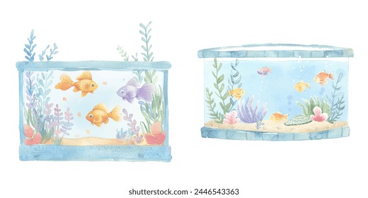 aquarium tank watercolor vector illustration 