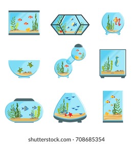 Aquarium tanks set, different types of aquariums with plants and fish detailed vector Illustrations