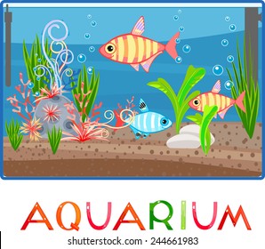 Aquarium with title