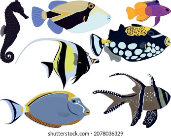 Aquarium tropical fish types seahorse, moorish idol, gramma collection vector illustration