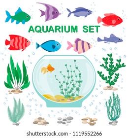 Aquarium with underwater elements, fishes, algae and stones isolated on white background