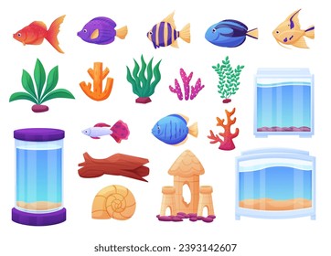 Acuario de algas y peces submarinos. Dibujo de plantas marinas oceánicas, cubos decorativos de vidrio y cilindro, corales. Accesorios vectores actuales aislados