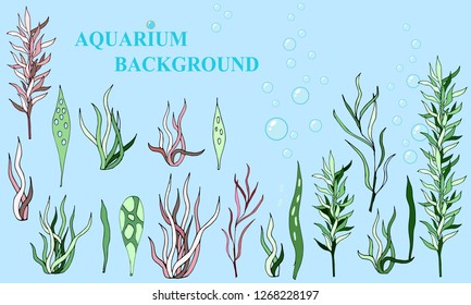 Aquarium vector background of algae of different colors.Collection of green and red plants in aquarium, algae, sea plants for background, poster, advertisement.