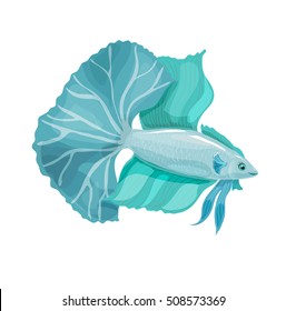 Aquarium vector fish with a big tail. Betta bellica